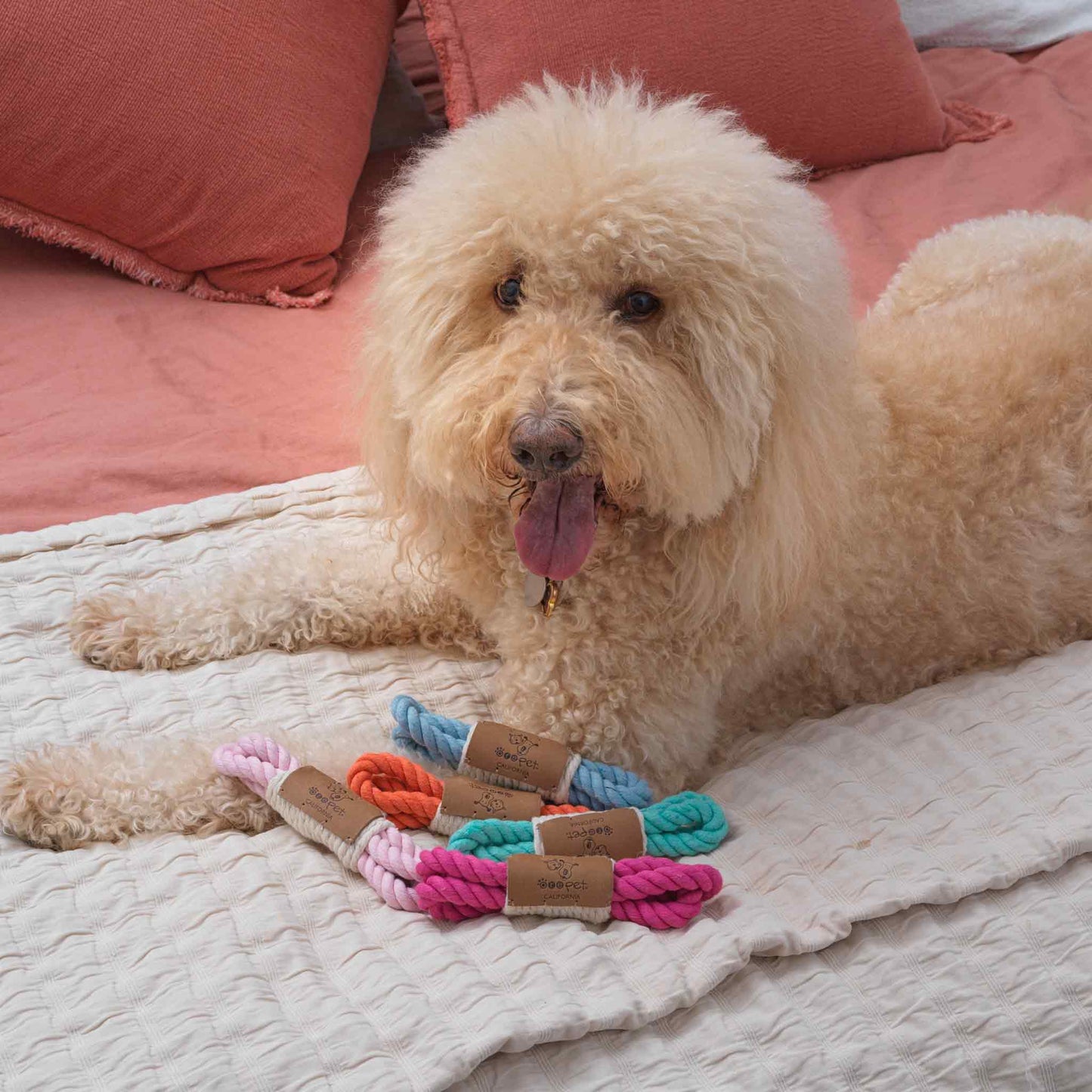 Mini Loop Dog Toy | Pink Mist