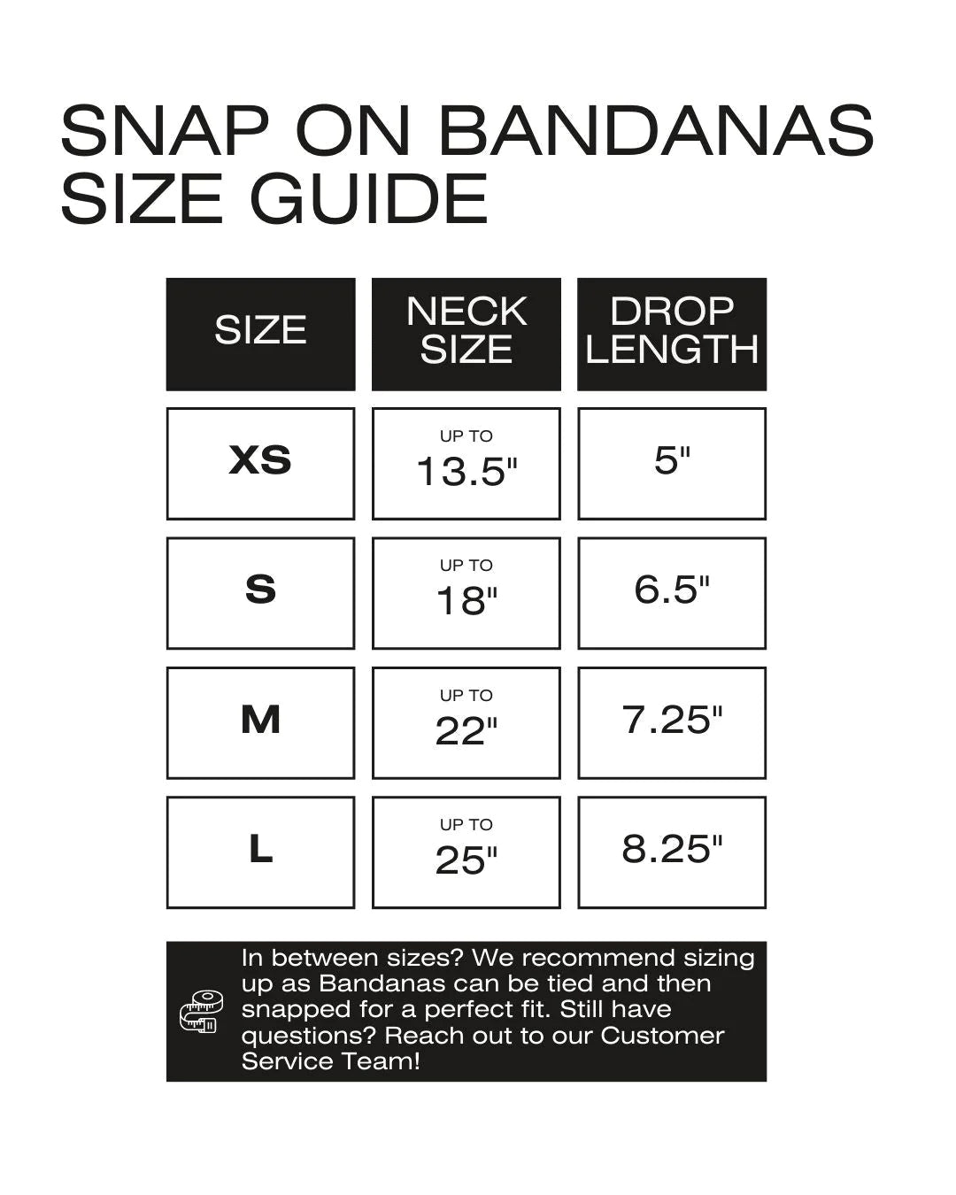 BANDANA | MERRY