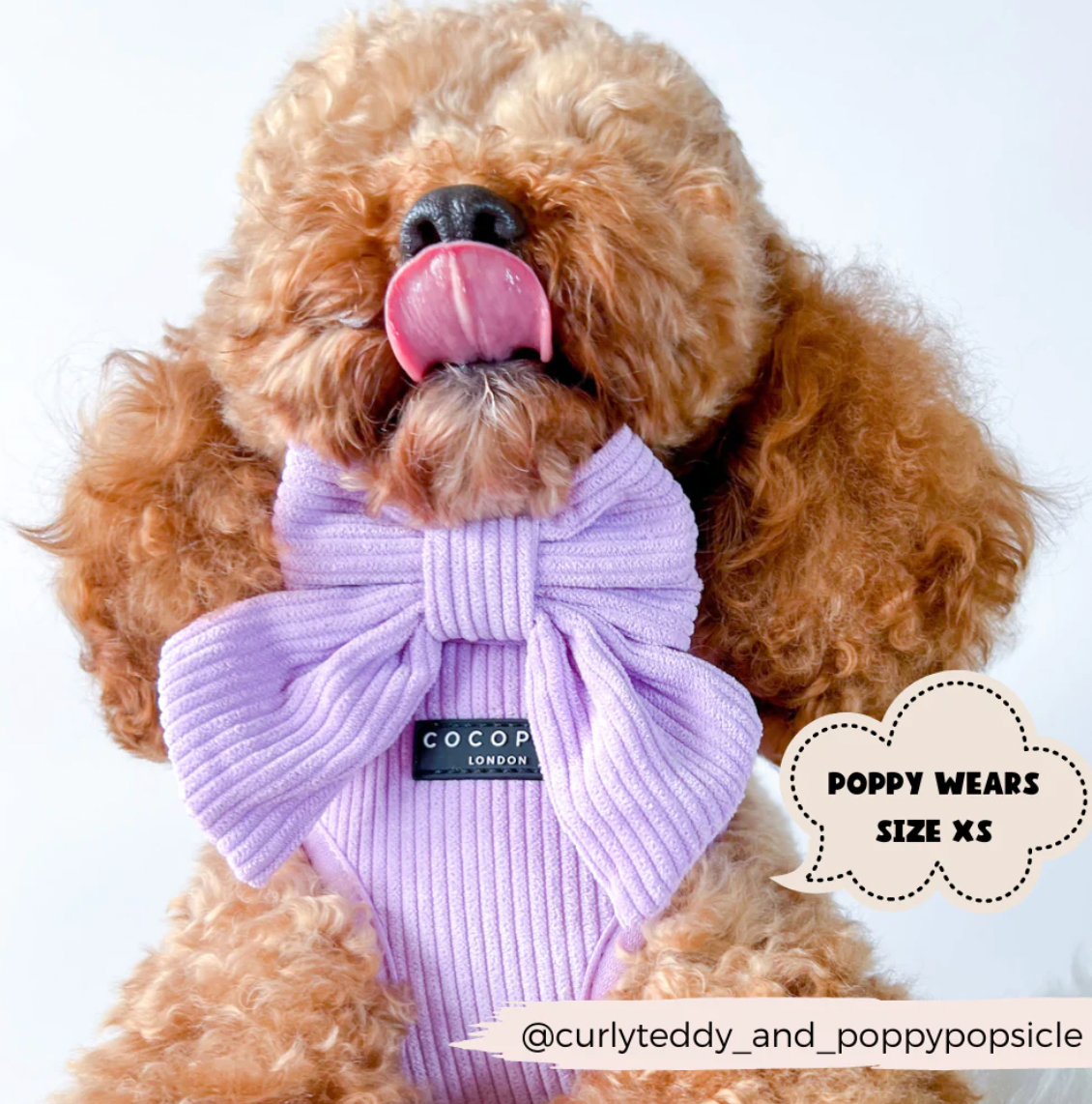 Lilac Cord Sailor Bow Tie